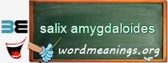 WordMeaning blackboard for salix amygdaloides